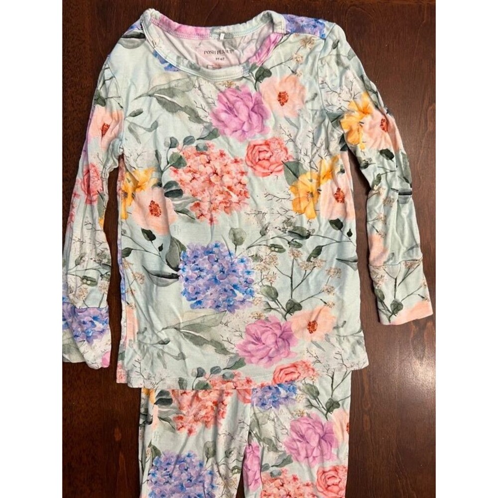 Posh Peanut Bamboo Hydrangea 2 Piece Pajama Set Size 3-4T